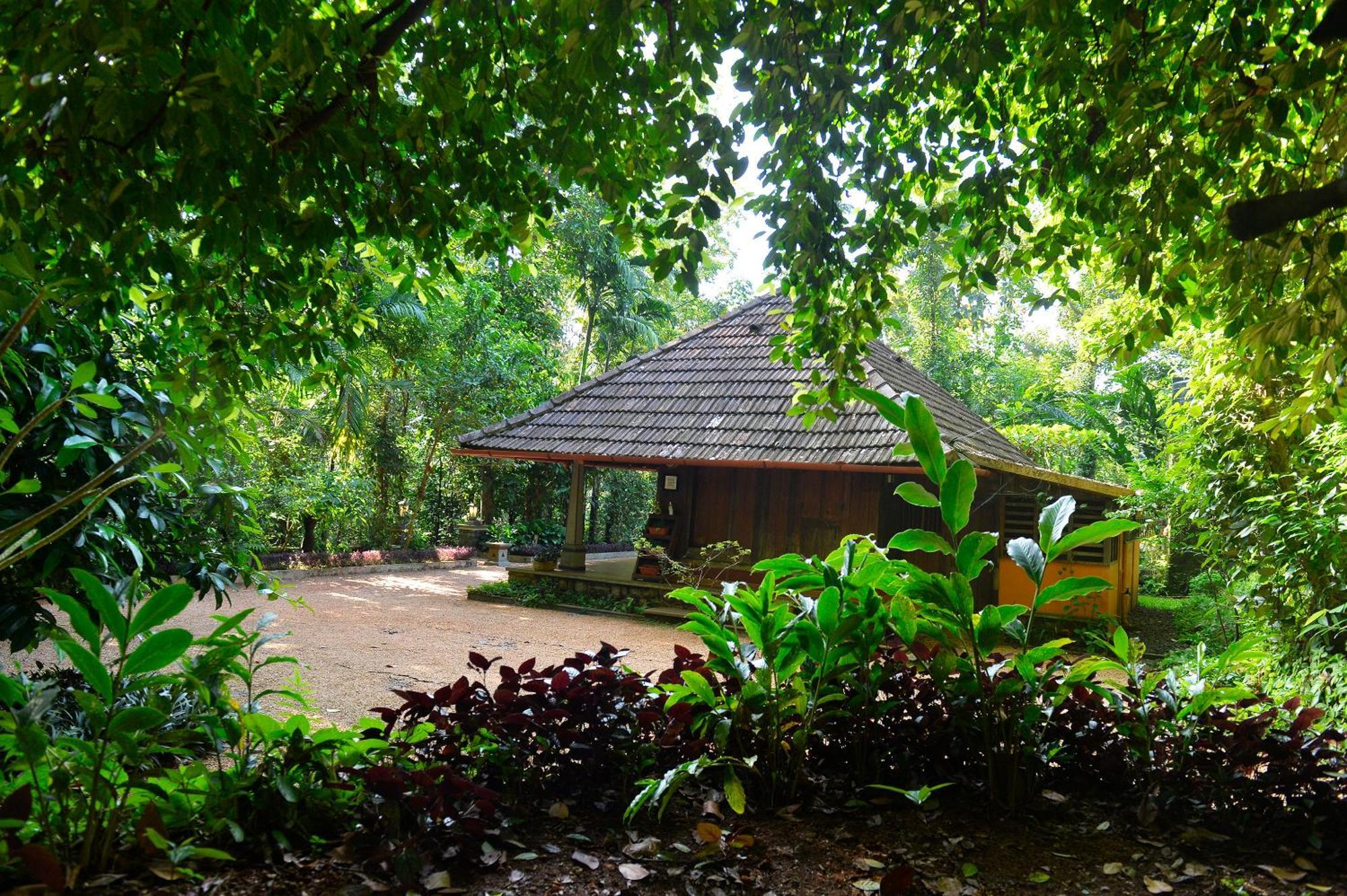 Swasthi Serviced Villa Kanjirapalli Kültér fotó